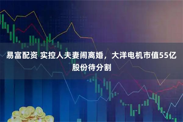 易富配资 实控人夫妻闹离婚，大洋电机市值55亿股份待分割