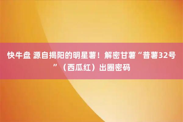 快牛盘 源自揭阳的明星薯！解密甘薯“普薯32号”（西瓜红）出圈密码