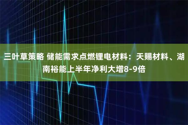 三叶草策略 储能需求点燃锂电材料：天赐材料、湖南裕能上半年净利大增8-9倍